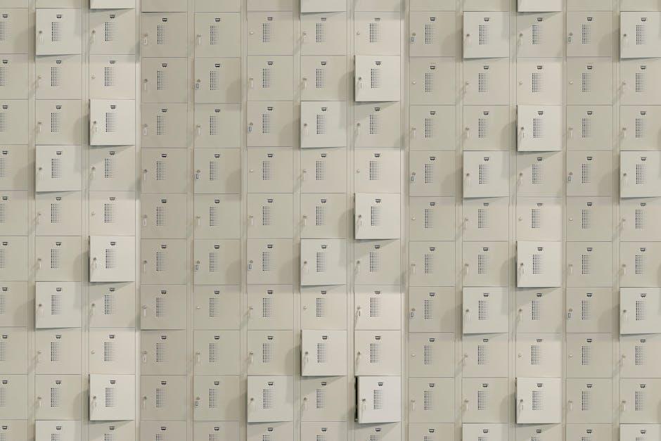 Choosing the Right Lock Systems for Your Business Needs