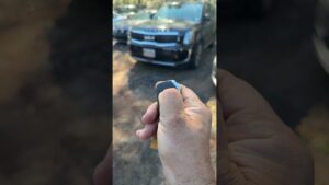 Read more about the article 2023 Kia Telluride • Remote Start Function Test • Locksmith Car Key Replacement #allcarslocksmith