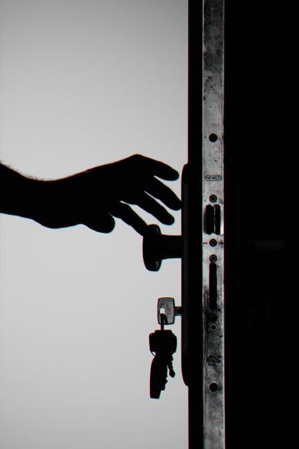 Choosing the Right Lock Champions for Your Home Security Needs