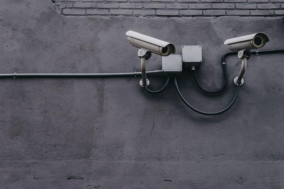 Securing Doors and Windows with Advanced Locks