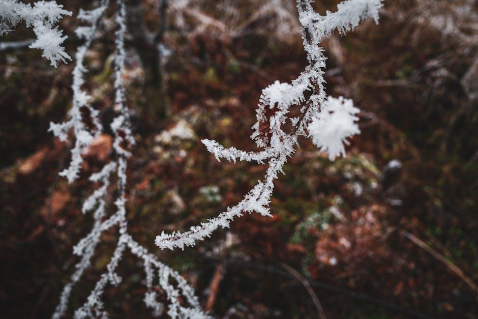 Common Causes of Lock Freezing in Cold Weather