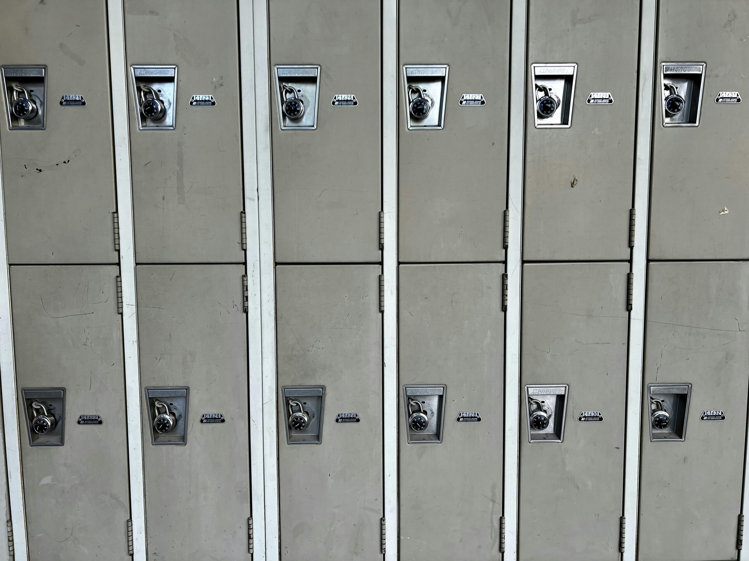 Read more about the article High-Security Lock Systems for Minneapolis Warehouses