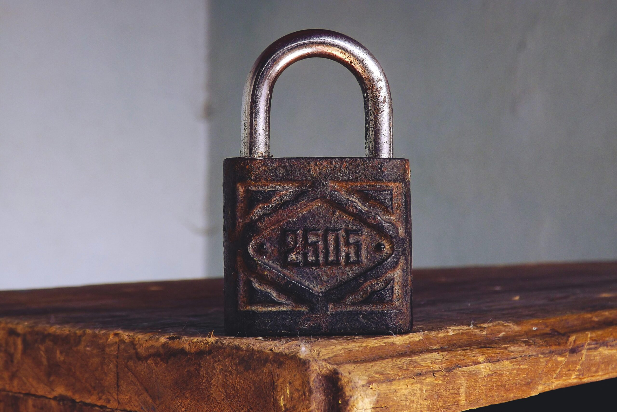 Read more about the article Why You Should Always Call a Professional Locksmith