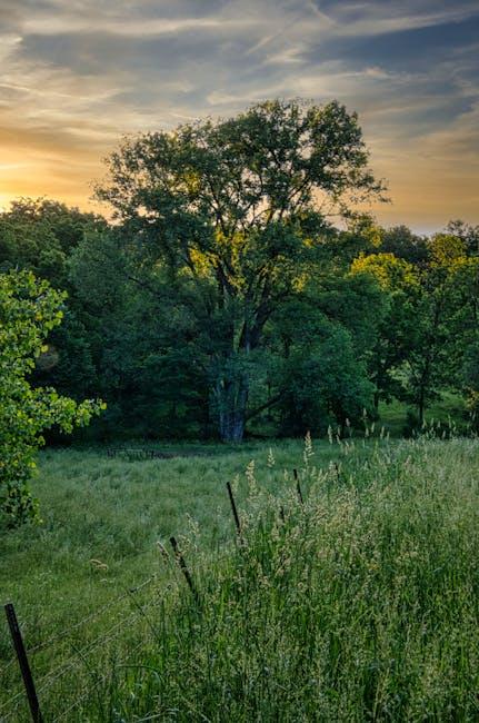 Signs It's Time to Rekey After Moving into a Minnesota Property